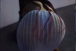 OUT CALLS ONLY DADDIES 😜😜🩷 - 2... - Image 1